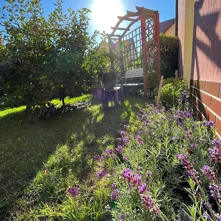 U Arlety - Pokoje Goscinne I Apartament