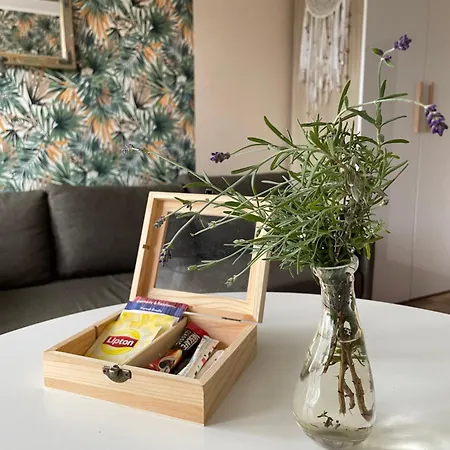 U Arlety - Pokoje Goscinne I Apartament Darlowko