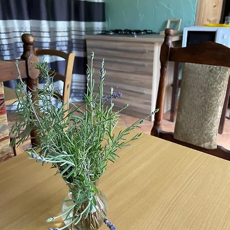 U Arlety - Pokoje Goscinne I Apartament * Darlowko